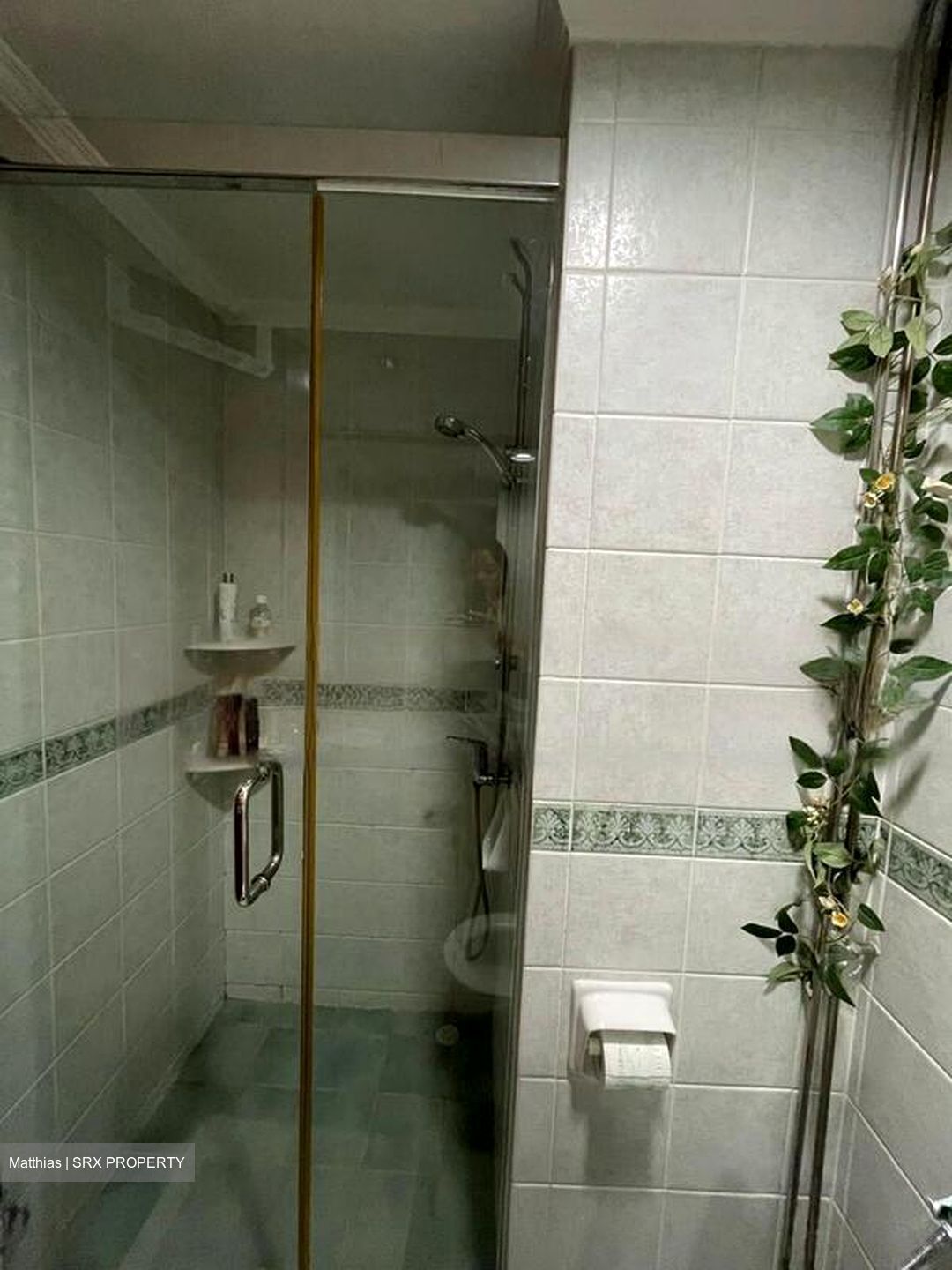 Emerald Garden (D1), Condominium #575738321